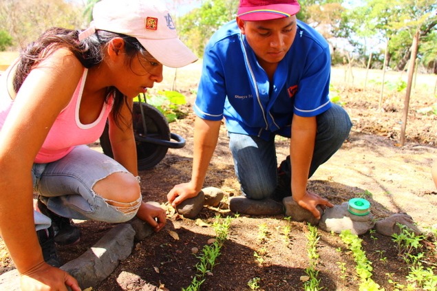 Planting crops